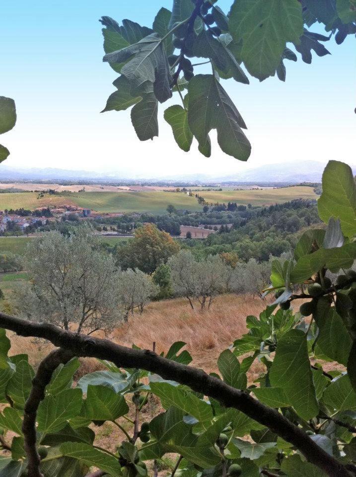 Agriturismo Il Palazzaccio Villa Galliano Eksteriør billede