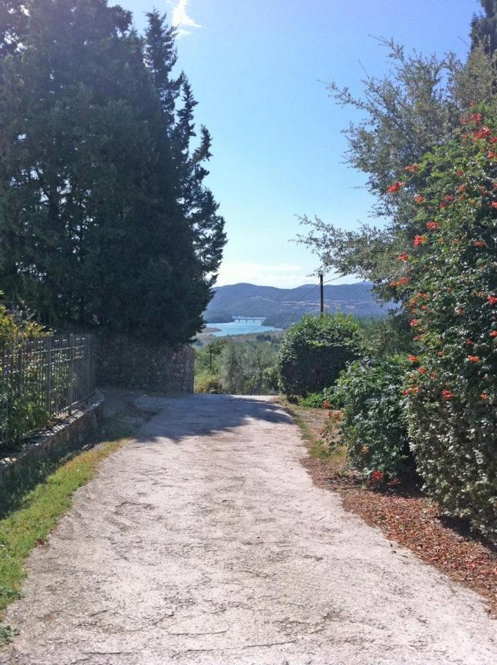 Agriturismo Il Palazzaccio Villa Galliano Eksteriør billede