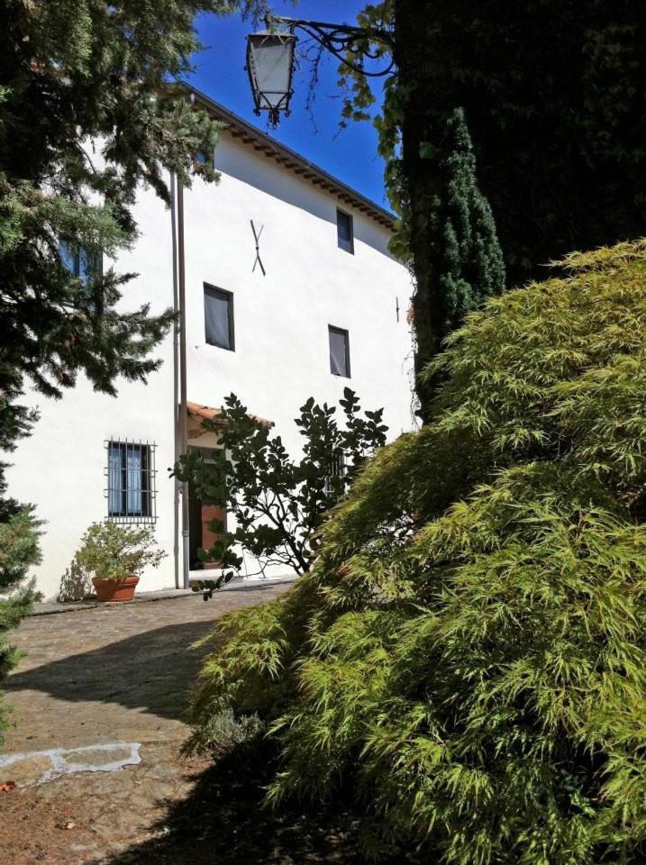 Agriturismo Il Palazzaccio Villa Galliano Eksteriør billede
